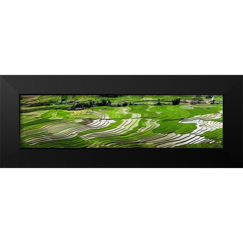 Vietnam -Rice paddies in the highlands of Sapa Black Modern Wood Framed Art Print by Norring, Tom
