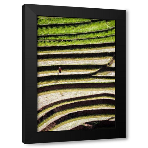 Vietnam -Rice paddies in the highlands of Sapa Black Modern Wood Framed Art Print by Norring, Tom