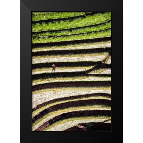 Vietnam -Rice paddies in the highlands of Sapa Black Modern Wood Framed Art Print by Norring, Tom