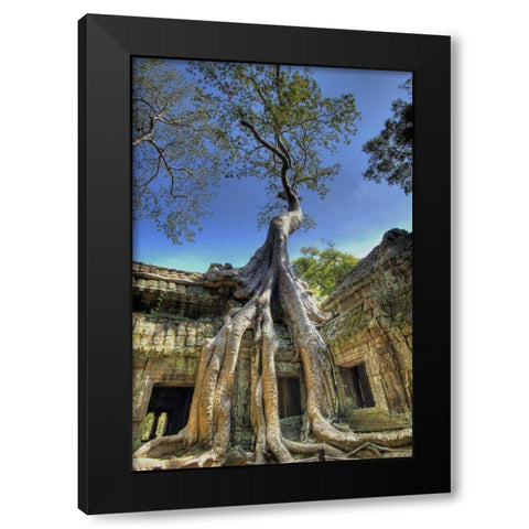 Cambodia, Angkor Wat Ruins of Beng Melea Temple Black Modern Wood Framed Art Print with Double Matting by Shimlock, Jones