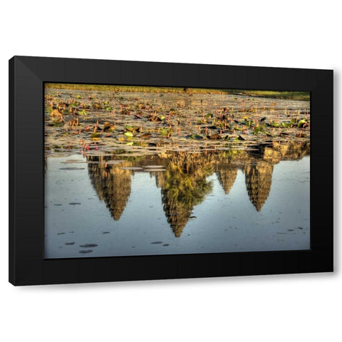 Cambodia, Angkor Wat Reflection of temple ruins Black Modern Wood Framed Art Print with Double Matting by Shimlock, Jones