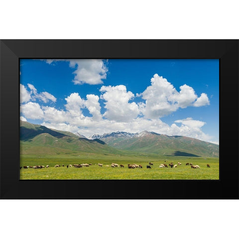 Summer pasture with traditional Yurts The Suusamyr plain Black Modern Wood Framed Art Print by Zwick, Martin