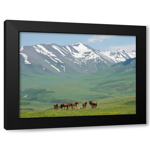 Horses on summer pasture The Suusamyr plain-a high valley in Tien Shan Mountains-Kyrgyzstan Black Modern Wood Framed Art Print with Double Matting by Zwick, Martin