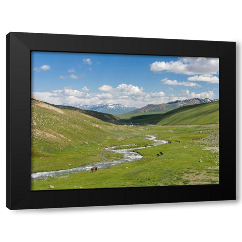 Horses on summer pasture The Suusamyr plain-a high valley in Tien Shan Mountains-Kyrgyzstan Black Modern Wood Framed Art Print with Double Matting by Zwick, Martin