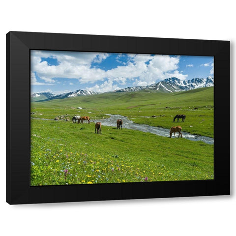 Horses on summer pasture The Suusamyr plain-a high valley in Tien Shan Mountains-Kyrgyzstan Black Modern Wood Framed Art Print with Double Matting by Zwick, Martin