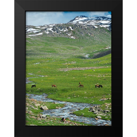 Landscape at the Otmok mountain pass in the Tien Shan or heavenly mountains-Kyrgyzstan Black Modern Wood Framed Art Print by Zwick, Martin