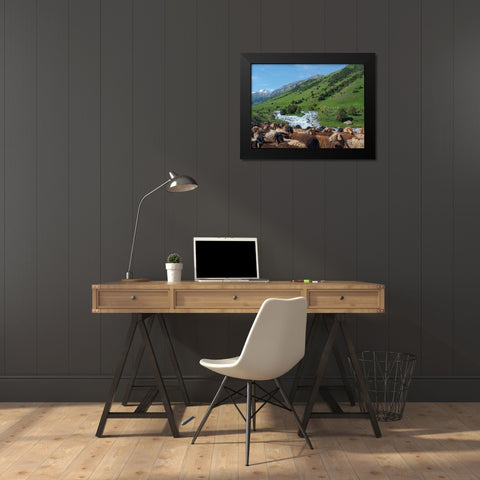 Sheep drive to their high altitude summer pasture National Park Besch Tasch Black Modern Wood Framed Art Print by Zwick, Martin
