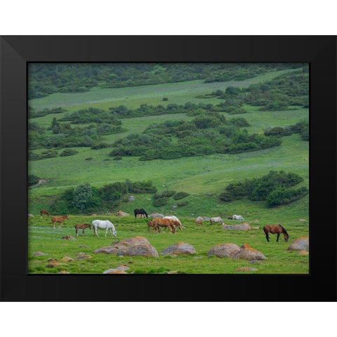 Horses on their summer pasture National Park Besch Tasch in the Talas Alatoo mountain range Black Modern Wood Framed Art Print by Zwick, Martin