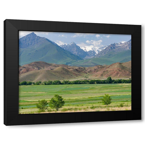 Agriculture near lake Issyk-Kul  Black Modern Wood Framed Art Print by Zwick, Martin