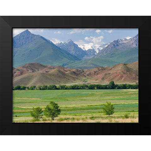 Agriculture near lake Issyk-Kul  Black Modern Wood Framed Art Print by Zwick, Martin