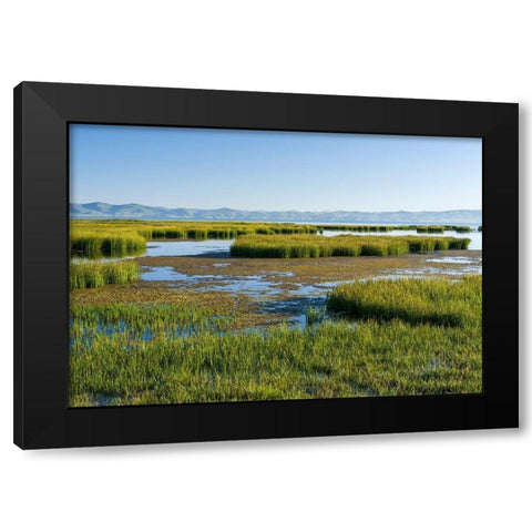 Landscape at lake Song Kol  Black Modern Wood Framed Art Print by Zwick, Martin