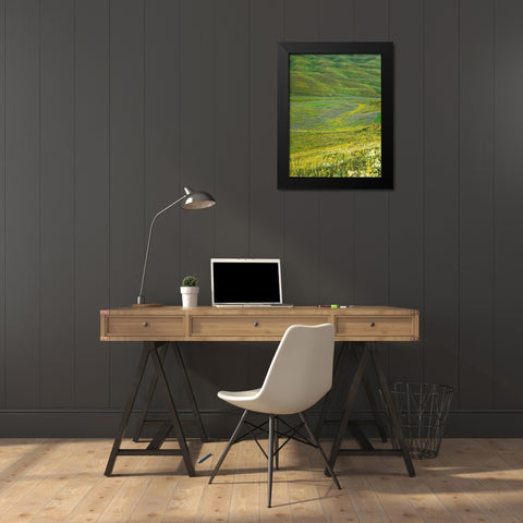 Wildflower meadow near the mountain road from Kazarman to mountain pass Urum Basch Ashuusu in the  Black Modern Wood Framed Art Print by Zwick, Martin