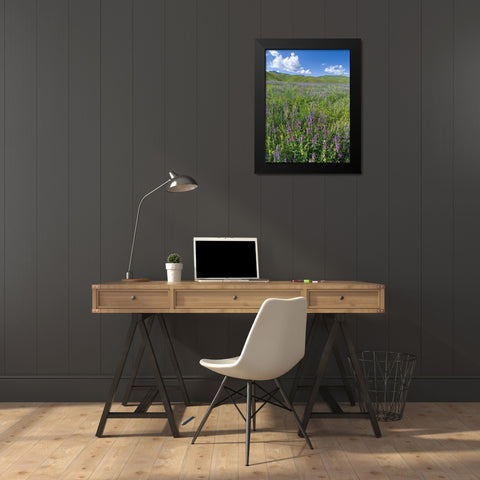 Wildflower meadow near the mountain road from Kazarman to mountain pass Urum Basch Ashuusu in the  Black Modern Wood Framed Art Print by Zwick, Martin