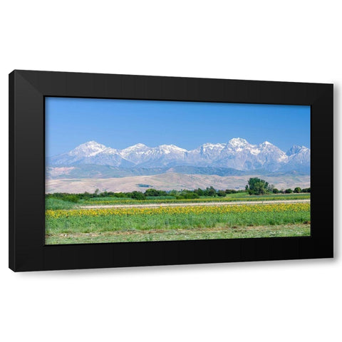 Landscape in the foothills of the Fergana mountain range Black Modern Wood Framed Art Print by Zwick, Martin