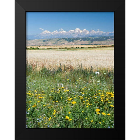 Landscape in the foothills of the Fergana mountain range Black Modern Wood Framed Art Print by Zwick, Martin