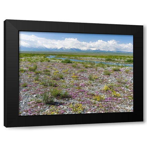 Peak Pik Lenin or Kullai abu-ali ibn Sino and Pik Dserschinski Alay Valley  Black Modern Wood Framed Art Print with Double Matting by Zwick, Martin