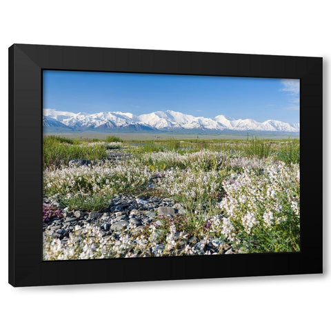 Peak Pik Lenin or Kullai abu-ali ibn Sino and Pik Dserschinski Alay Valley  Black Modern Wood Framed Art Print by Zwick, Martin
