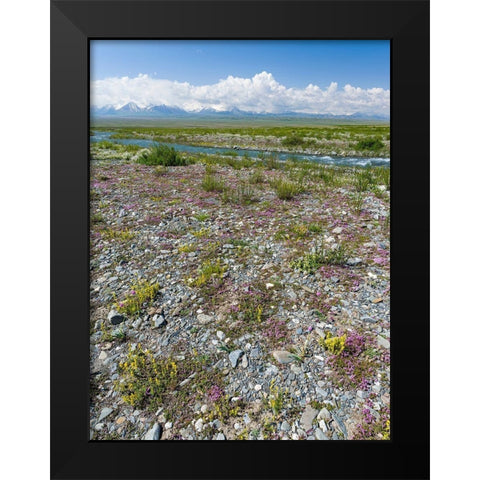 Peak Pik Lenin or Kullai abu-ali ibn Sino and Pik Dserschinski Alay Valley  Black Modern Wood Framed Art Print by Zwick, Martin