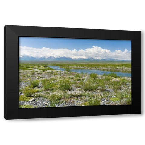 Peak Pik Lenin or Kullai abu-ali ibn Sino and Pik Dserschinski Alay Valley  Black Modern Wood Framed Art Print with Double Matting by Zwick, Martin
