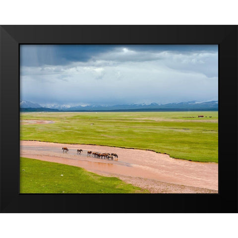 Horses in the Alay Valley and the Trans-Alay Range in the Pamir Mountains  Black Modern Wood Framed Art Print by Zwick, Martin