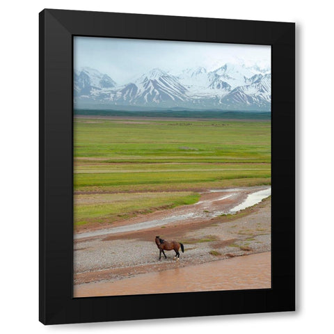 Horses in the Alay Valley and the Trans-Alay Range in the Pamir Mountains  Black Modern Wood Framed Art Print with Double Matting by Zwick, Martin