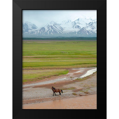 Horses in the Alay Valley and the Trans-Alay Range in the Pamir Mountains  Black Modern Wood Framed Art Print by Zwick, Martin