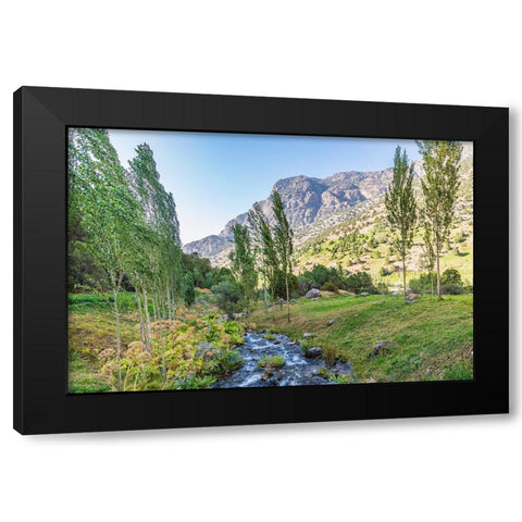Artuch-Sughd Province-Tajikistan A small creek in the mountains of Tajikistan Black Modern Wood Framed Art Print by Wilson, Emily M.