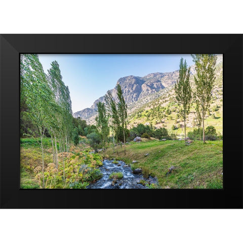 Artuch-Sughd Province-Tajikistan A small creek in the mountains of Tajikistan Black Modern Wood Framed Art Print by Wilson, Emily M.