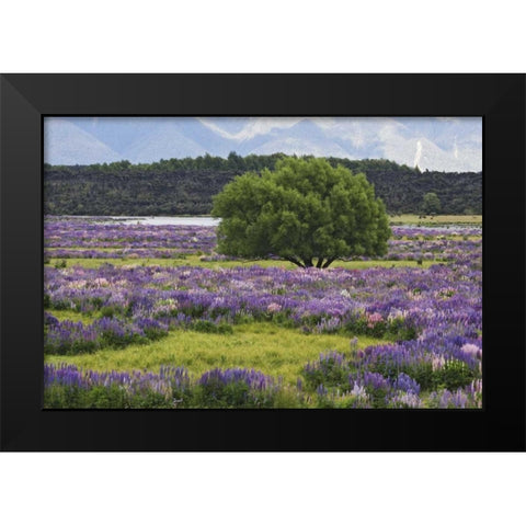 New Zealand, South Island Lupine and tree Black Modern Wood Framed Art Print by Flaherty, Dennis