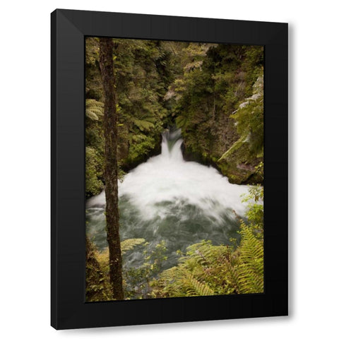 New Zealand The Kaituna river over Tuteas Falls Black Modern Wood Framed Art Print by Grall, Don