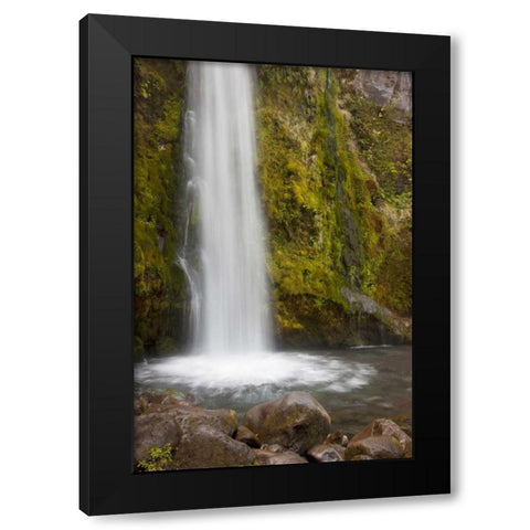 New Zealand, Taranaki Dawson Falls in Egmont NP Black Modern Wood Framed Art Print with Double Matting by Grall, Don