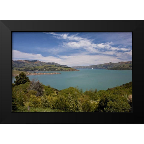 New Zealand, South Island, Akaroa Harbor scenic Black Modern Wood Framed Art Print by Grall, Don