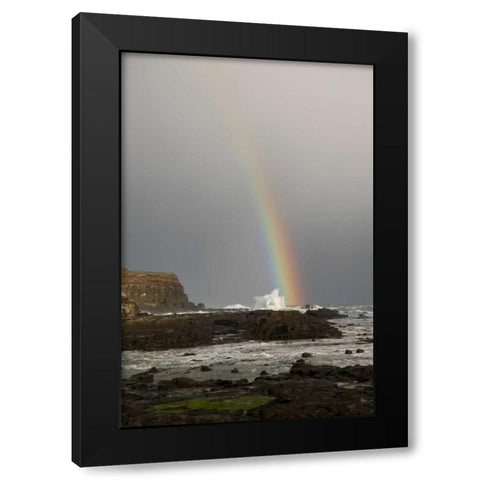 New Zealand, South Island Rainbow over Curio Bay Black Modern Wood Framed Art Print with Double Matting by Grall, Don