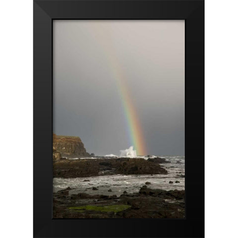 New Zealand, South Island Rainbow over Curio Bay Black Modern Wood Framed Art Print by Grall, Don
