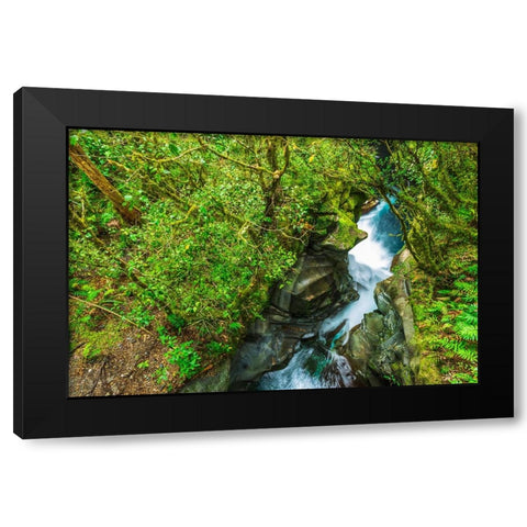 The Chasm-Fiordland National Park-South Island-New Zealand Black Modern Wood Framed Art Print with Double Matting by Bishop, Russ