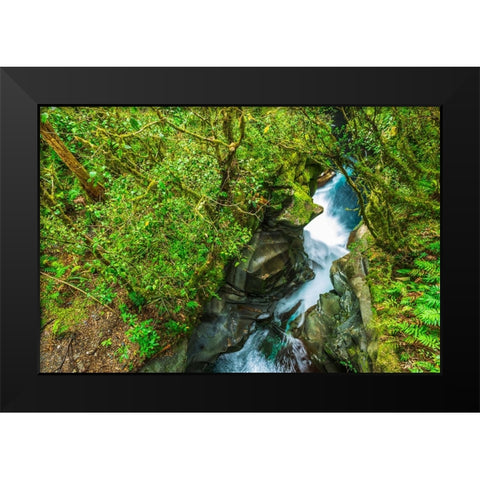 The Chasm-Fiordland National Park-South Island-New Zealand Black Modern Wood Framed Art Print by Bishop, Russ