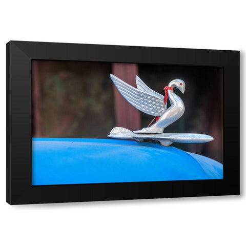Detail of swan hood ornament usually found on classic American Packard Havana-Cuba Black Modern Wood Framed Art Print by Miglavs, Janis