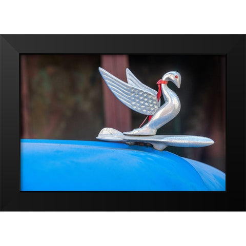 Detail of swan hood ornament usually found on classic American Packard Havana-Cuba Black Modern Wood Framed Art Print by Miglavs, Janis