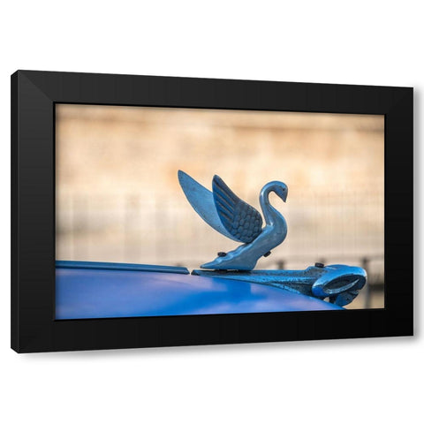 Close-up of a swan hood ornament on a classic blue American car in Vieja-old Habana-Havana-Cuba Black Modern Wood Framed Art Print by Miglavs, Janis