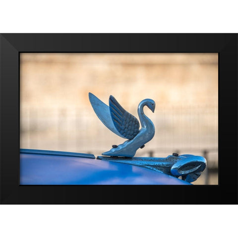 Close-up of a swan hood ornament on a classic blue American car in Vieja-old Habana-Havana-Cuba Black Modern Wood Framed Art Print by Miglavs, Janis