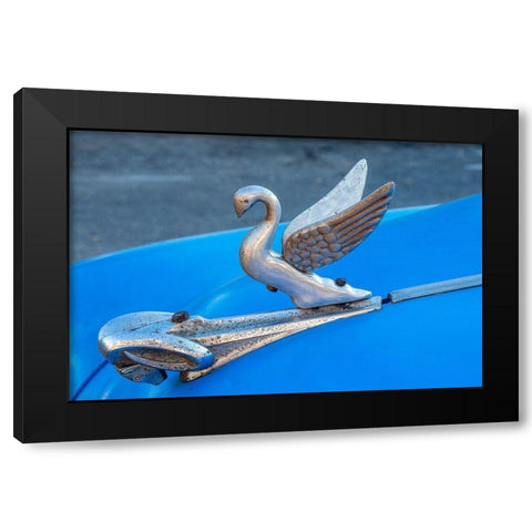 Close-up a swan hood ornament on a classic blue American car in Vieja-old Habana-Havana-Cuba Black Modern Wood Framed Art Print by Miglavs, Janis