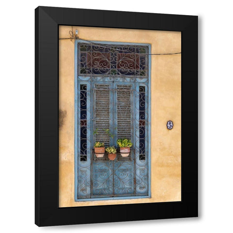 Flower pots sit in wrought iron gate in front of blue door in Old Havana; La Habana Vieja-Cuba Black Modern Wood Framed Art Print by Miglavs, Janis
