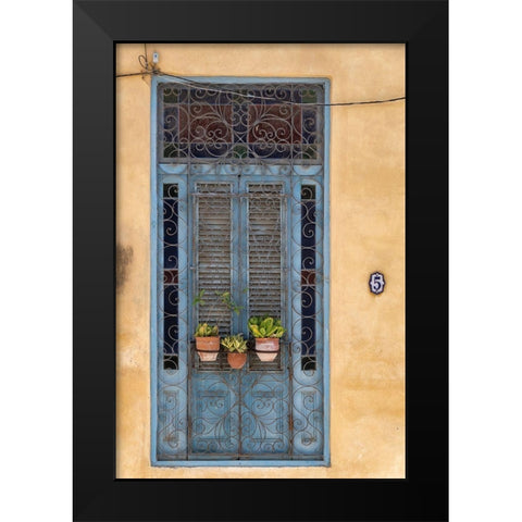 Flower pots sit in wrought iron gate in front of blue door in Old Havana; La Habana Vieja-Cuba Black Modern Wood Framed Art Print by Miglavs, Janis