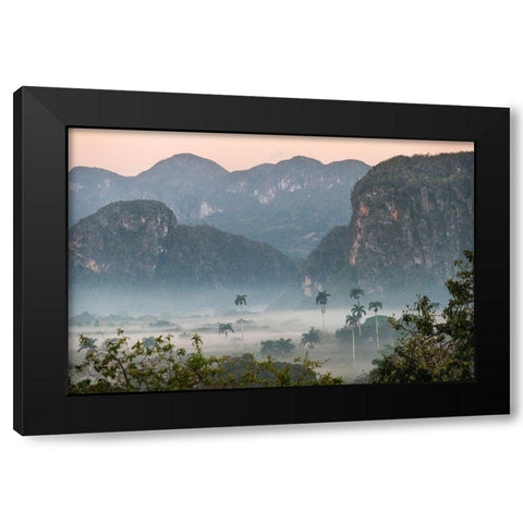 Morning fog rises from the palm tree lined Vinales Valley-Cuba Black Modern Wood Framed Art Print by Miglavs, Janis