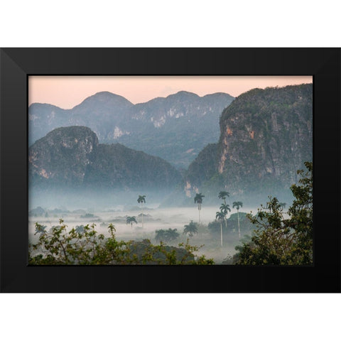Morning fog rises from the palm tree lined Vinales Valley-Cuba Black Modern Wood Framed Art Print by Miglavs, Janis