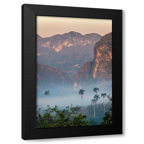 Morning fog rises from the palm tree lined Vinales Valley-Cuba Black Modern Wood Framed Art Print with Double Matting by Miglavs, Janis