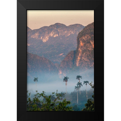 Morning fog rises from the palm tree lined Vinales Valley-Cuba Black Modern Wood Framed Art Print by Miglavs, Janis