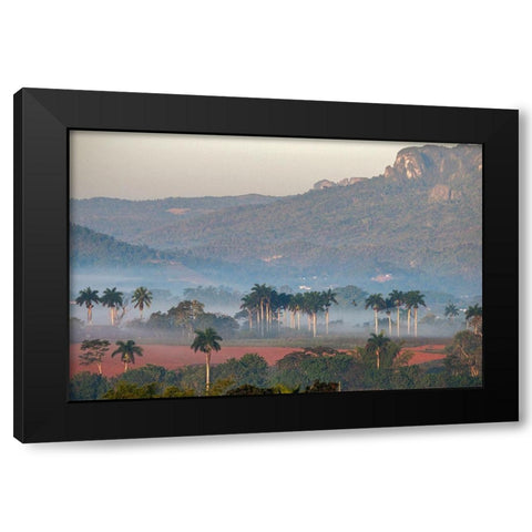 Morning fog rises from the palm tree lined Vinales Valley-Cuba Black Modern Wood Framed Art Print with Double Matting by Miglavs, Janis