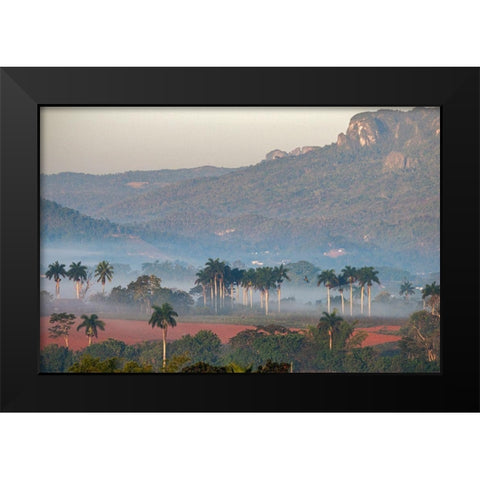 Morning fog rises from the palm tree lined Vinales Valley-Cuba Black Modern Wood Framed Art Print by Miglavs, Janis
