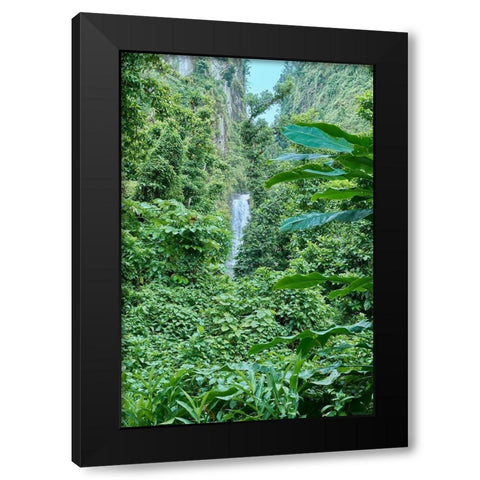 Caribbean-West Indies-Dominica Island One of Dominicas most popular natural attractions Black Modern Wood Framed Art Print with Double Matting by Buhl, Karl